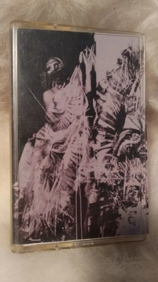 Shaidar Logoth 2020 / Leucosis 2017 / Necrosemen
