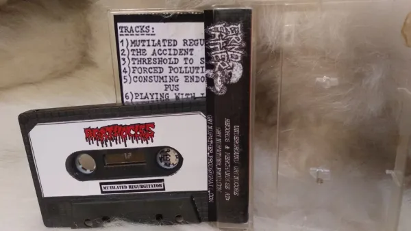 If This Is Gore, What Is Meat Then/Mutilated Regurgitator