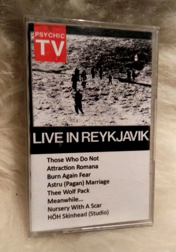 Live in Reykjavik