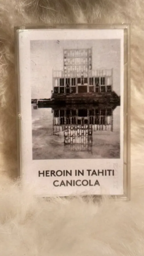 Canicola